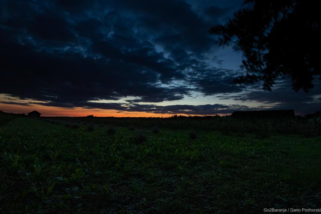Отель Pannonia Terranova Vardarac Экстерьер фото