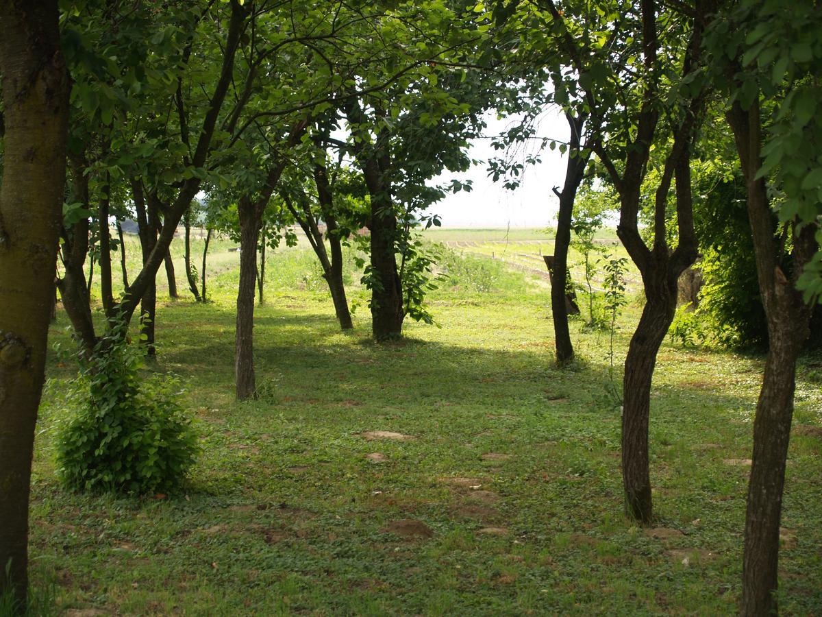 Отель Pannonia Terranova Vardarac Экстерьер фото