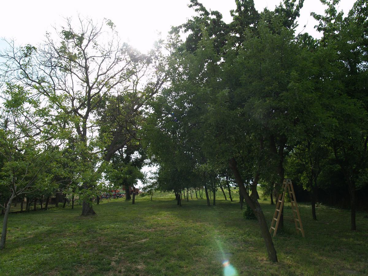 Отель Pannonia Terranova Vardarac Экстерьер фото